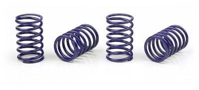 Xray Xray Spring-Set D=1.7 (25 Lb) C=3.6 Black (4) (XR308386)