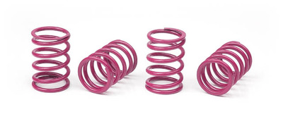 Xray Xray Spring-Set D=1.8 (33 Lb) Purple - Medium-Hard (4) --- Replaced With #348283 (XR308397)