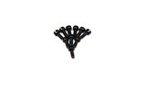 Absima Round Head Hex Screw M2*5 ( AB 1230471)