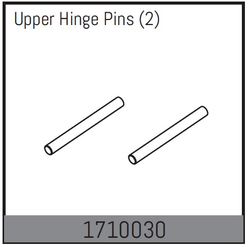 Absima Upper Hinge Pins (2) ( AB 1710030)