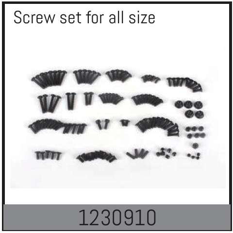 Absima Complete Screw Set ( AB 1230910)