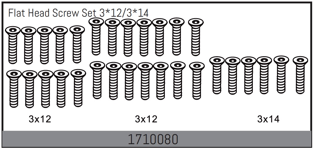 Absima Flat Head Screw Set 3*12/3*14 ( AB 1710080)