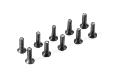 Xray Hex Screw Sfh M4X14  (10) (XR903414)
