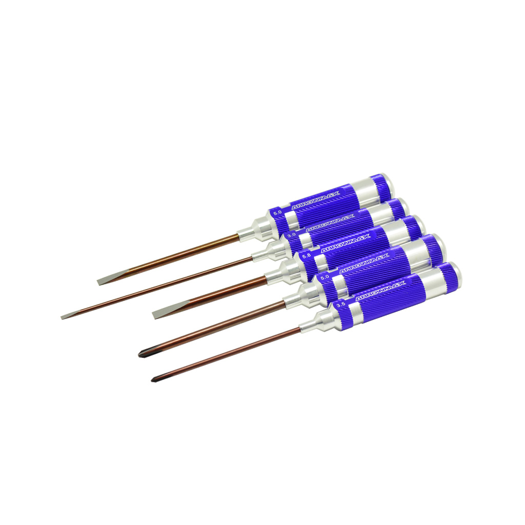 Arrowmax Phillips &amp; Flat Screwdriver Set - 5pcs (AM290901)