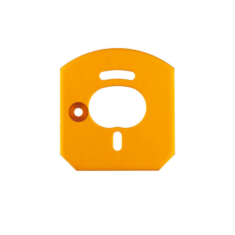 Team Associated 6X6 Motor Mount Plate, Gold (AS31953)