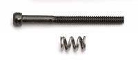 Team Associated TC3 Motor Clamp Spring And Bolt (AS3929)