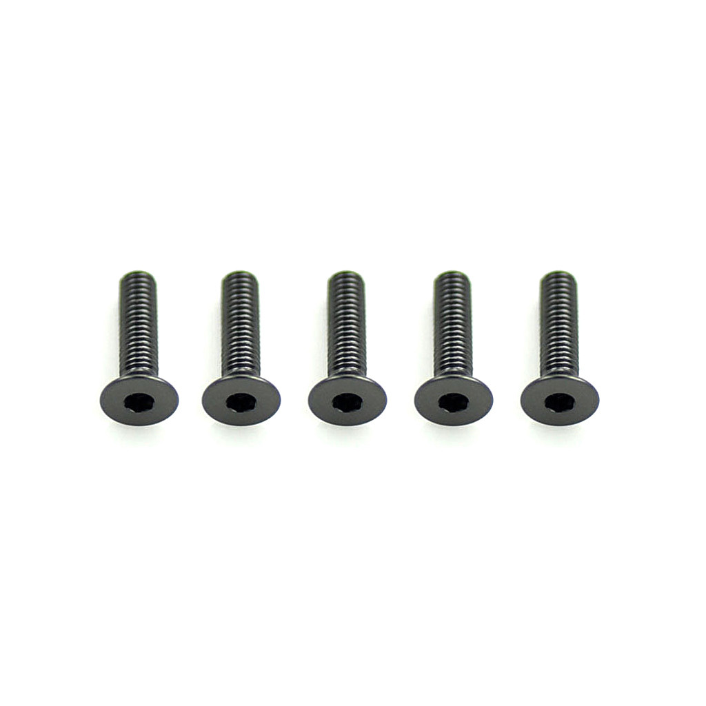 Core RC Alloy Csk Hex Screws M3 x 12 pk10 (CR313)