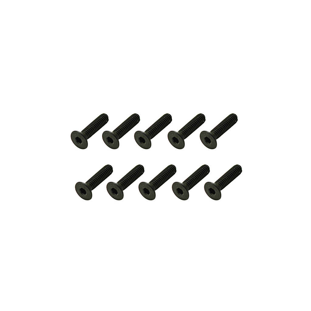 Core RC Steel Csk Hex Screws M2.5 x 10 pk10 (CR342)