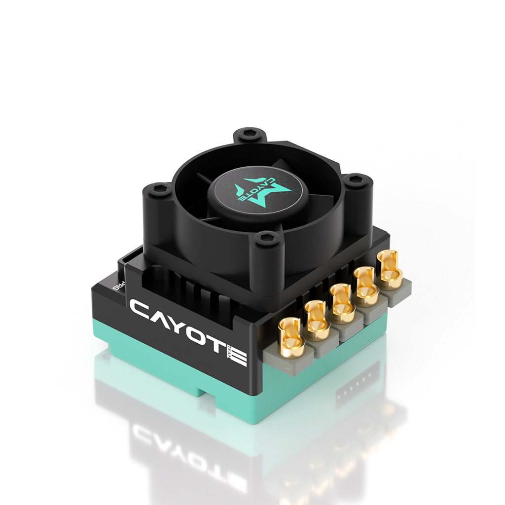CAYOTE CREST RS80 1/10 Stock Competition ESC (CYEA11003)