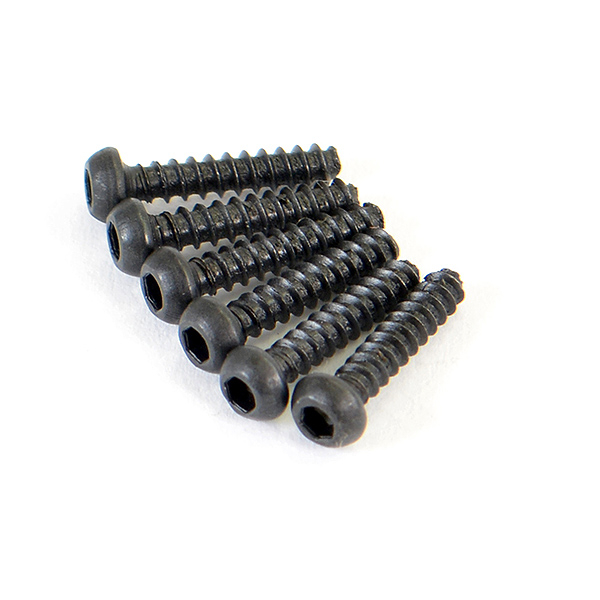 FTX Round Head Self Tapping Hex Screw 6pcs2*10 (FTX6519)