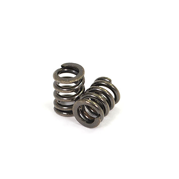 FTX Outback Hi-Rock Slipper Spring (2) (FTX9289)