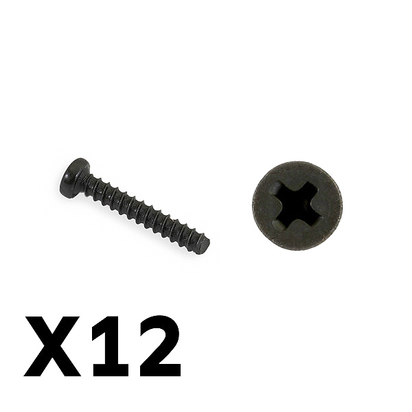 FTX Tracer Pan Head Self Tapping Screws PHB02*12mm (FTX9755)