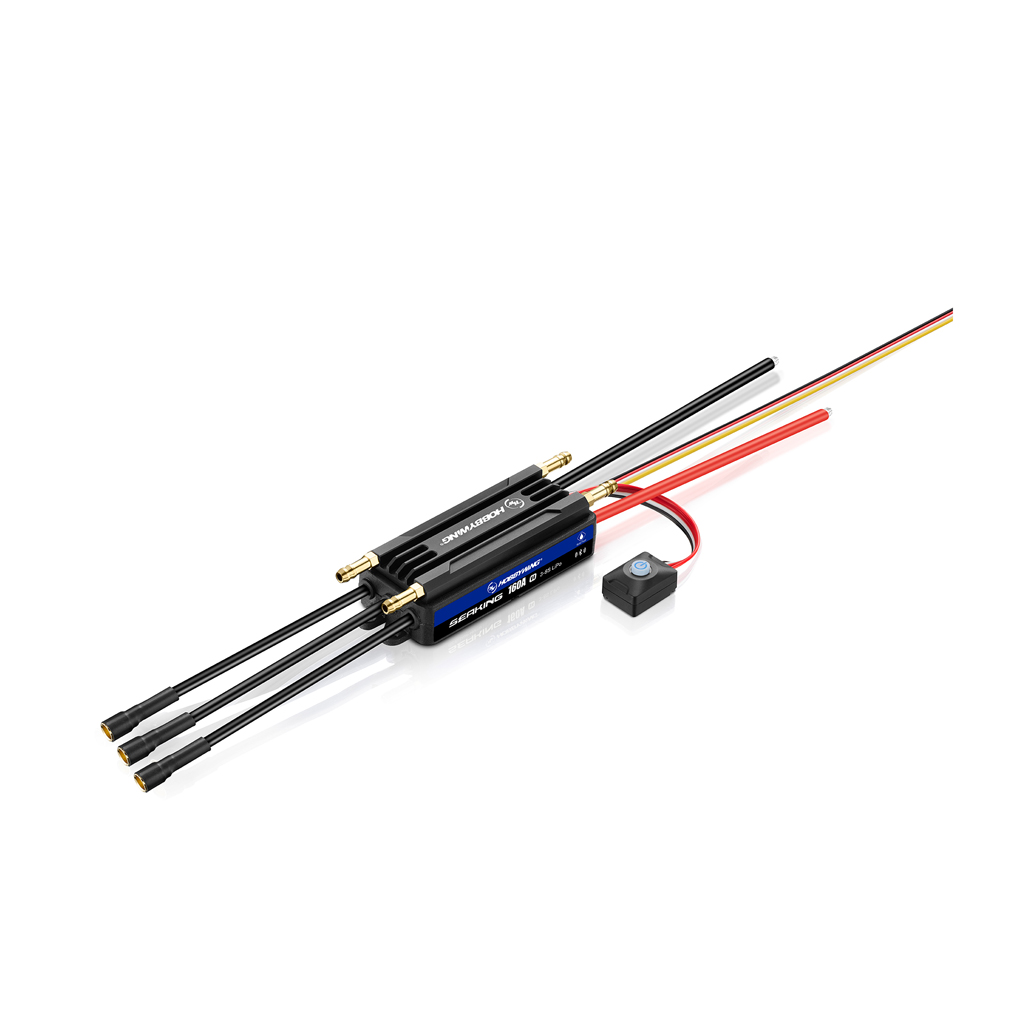 Hobbywing SEAKING 160A V4 (HW30206200)