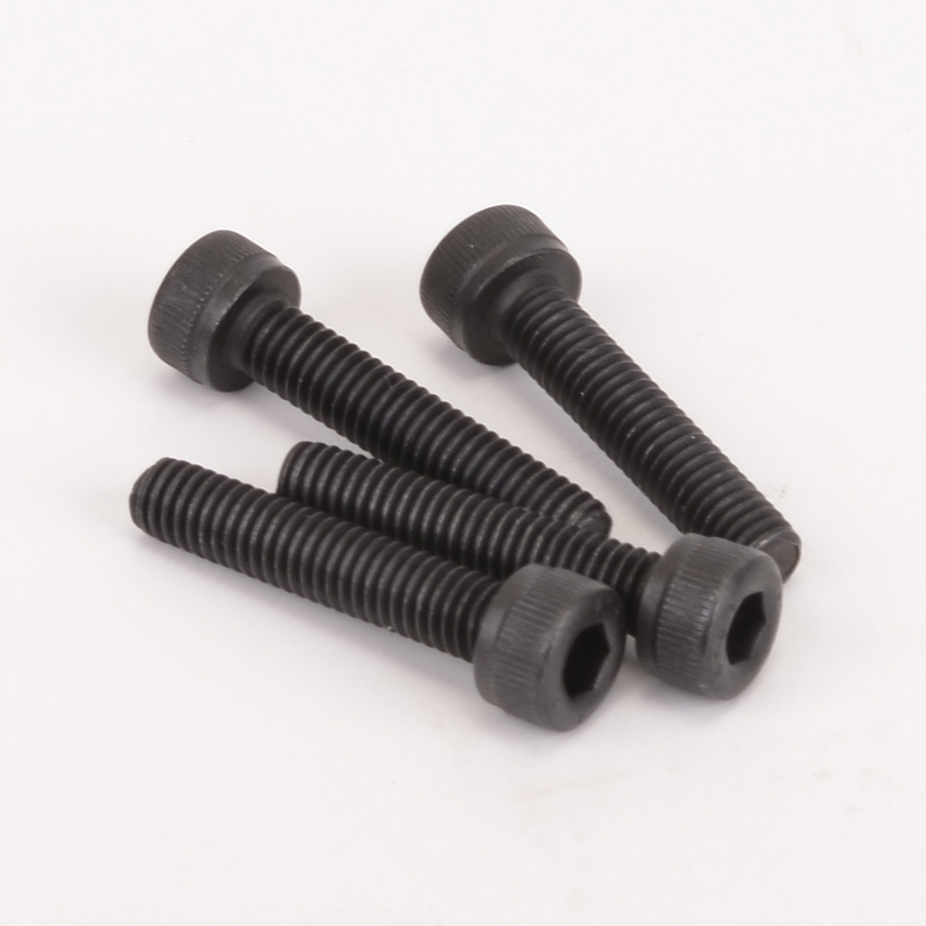 Schumacher SPEED PACK - M4x20 Cap Hd (4 pcs) (U4154)