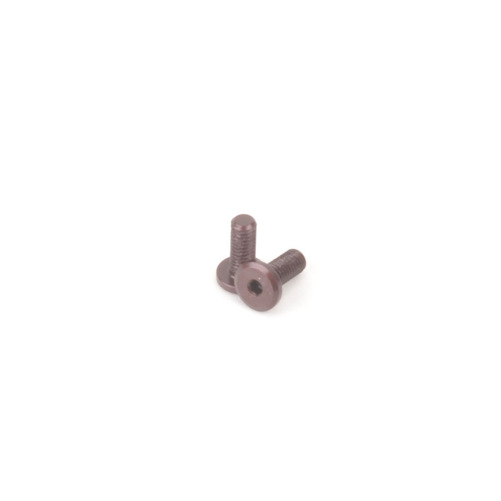 Schumacher SPEED PACK Servo Screws (2pcs) (U4983)